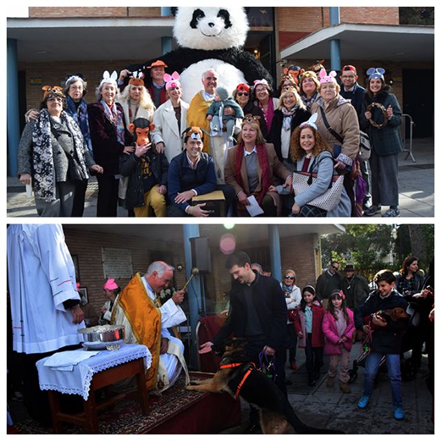 Misa y Bendición en Pio XII: Un Encuentro Especial con San Antón y sus Fielesen Sevilla - 5, Foto 5