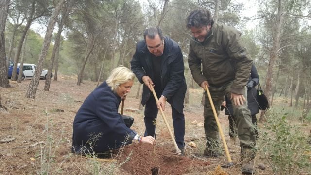 El proyecto de Medio Ambiente ´Mi empresa ha plantado un bosque´ recibe la aportación de la Agrupación Sardinera de Murcia - 1, Foto 1
