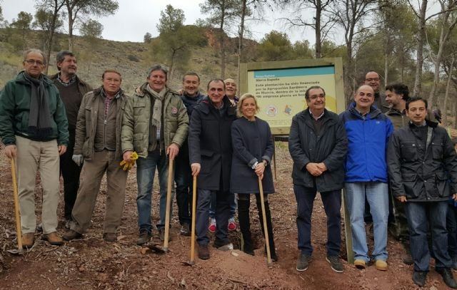 El proyecto de Medio Ambiente ´Mi empresa ha plantado un bosque´ recibe la aportación de la Agrupación Sardinera de Murcia - 2, Foto 2