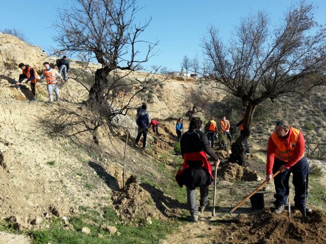 Cuarenta voluntarios participan en la reforestación del Salto del Usero - 4, Foto 4