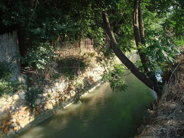 Huerta Viva propone al pleno la rehabilitación y protección de la acequia Aljufía - 2, Foto 2