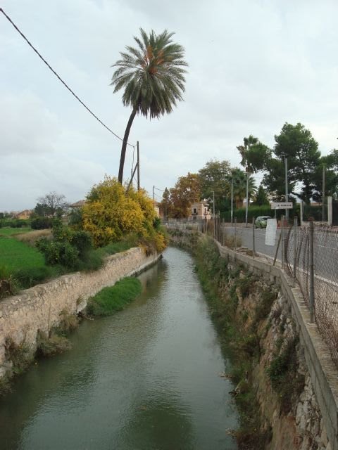 Huerta Viva propone al pleno la rehabilitación y protección de la acequia Aljufía - 3, Foto 3