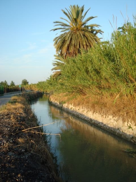 Huerta Viva propone al pleno la rehabilitación y protección de la acequia Aljufía - 4, Foto 4