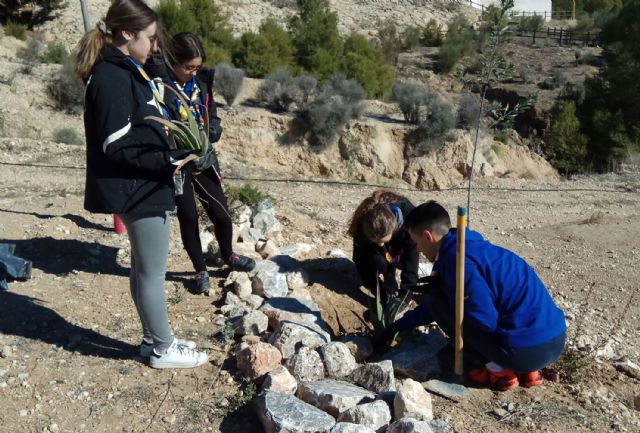 El grupo scout 'Ítaca' torreño disfrutó de una acampada en el entorno del albergue municipal - 3, Foto 3