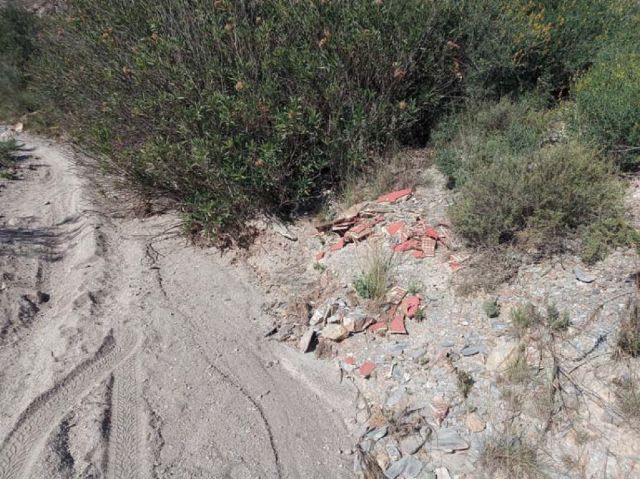 El Ayuntamiento solicita a la Confederación Hidrográfica del Segura la limpieza y vigilancia de los cauces que atraviesan el término municipal de Puerto Lumbreras - 1, Foto 1