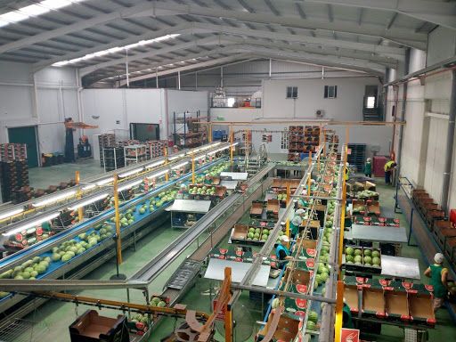 El Partido Popular de Puerto Lumbreras llevará a pleno una moción de apoyo al sector agroalimentario - 1, Foto 1