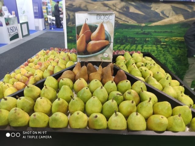 Las Peras de Estados Unidos ponen sus miras en Medio Oriente y La India en Fruit Logistica - 2, Foto 2