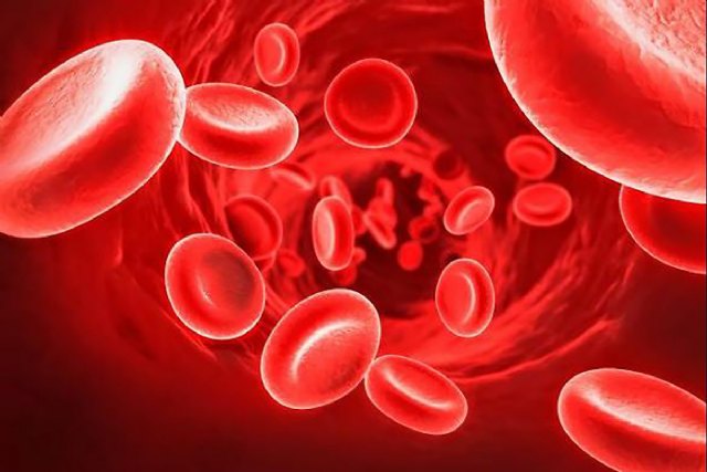 Sanidad financiará a partir del día 1 de marzo dos medicamentos para los pacientes con hemofilia B - 1, Foto 1