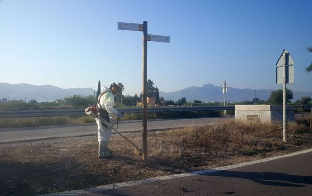 El Ayuntamiento revisa de forma intensiva el carril bici entre El Raal y La Contraparada - 2, Foto 2