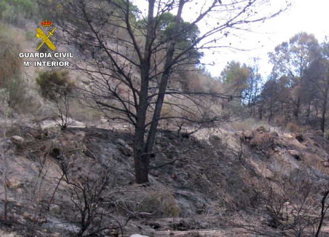 La Guardia Civil esclarece un incendio forestal ocurrido en Ojós con la investigación de un agricultor - 2, Foto 2