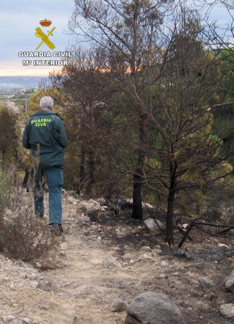 La Guardia Civil esclarece un incendio forestal ocurrido en Ojós con la investigación de un agricultor - 3, Foto 3