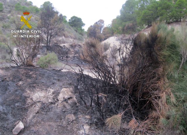 La Guardia Civil esclarece un incendio forestal ocurrido en Ojós con la investigación de un agricultor - 4, Foto 4