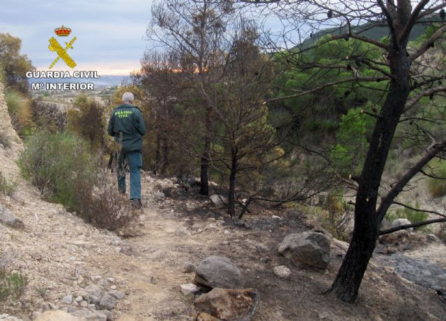La Guardia Civil esclarece un incendio forestal ocurrido en Ojós con la investigación de un agricultor - 5, Foto 5
