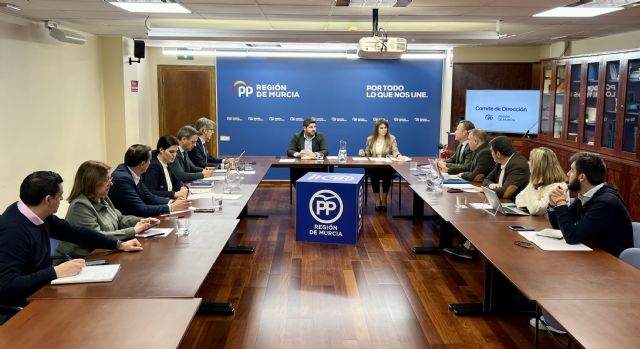 PP alerta de que la reforma de Ley de Seguridad Ciudadana deja sin herramientas a la Guardia Civil y la Policía para proteger a las personas - 2, Foto 2