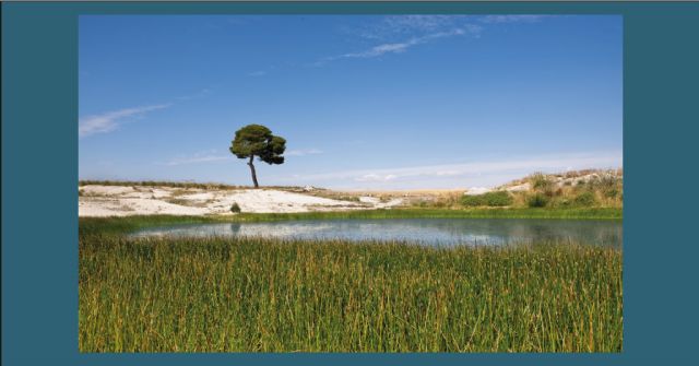 El Ayuntamiento adecuará el Camino Cañada Real a través del Plan de Turismo Sostenible - 1, Foto 1