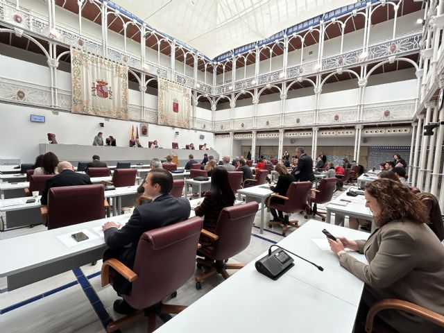 La Asamblea Regional constituirá una Comisión Especial de Estudio para abordar el reto demográfico y la despoblación - 2, Foto 2