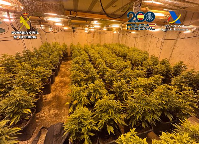 Desmantelada en Murcia una organización criminal dedicada al tráfico de drogas - 4, Foto 4