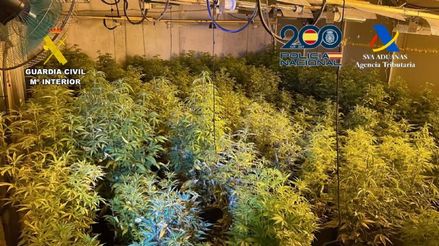 Desmantelada en Murcia una organización criminal dedicada al tráfico de drogas - 5, Foto 5