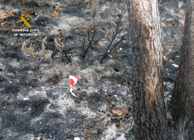 La Guardia Civil esclarece la causa de los incendios que calcinaron cuatro hectáreas de masa forestal - 1, Foto 1