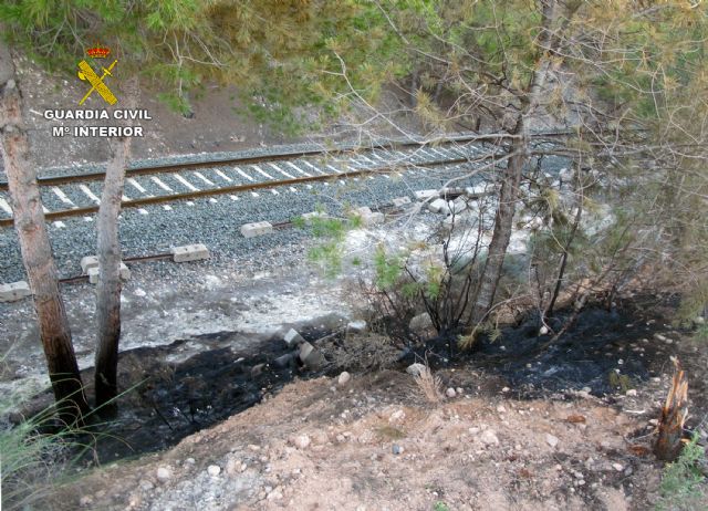 La Guardia Civil esclarece la causa de los incendios que calcinaron cuatro hectáreas de masa forestal - 3, Foto 3