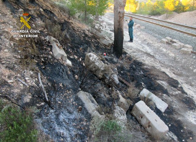 La Guardia Civil esclarece la causa de los incendios que calcinaron cuatro hectáreas de masa forestal - 4, Foto 4