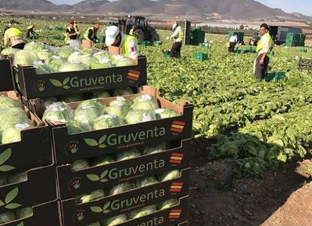 GRUVENTA impulsará su dimensión exterior mirando a nuevos mercados como Asia, Emiratos Árabes y Latinoamérica - 1, Foto 1