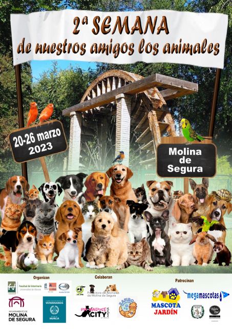 Molina de Segura celebra la segunda edición de la Semana de nuestros amigos los animales del 20 al 26 de marzo - 1, Foto 1