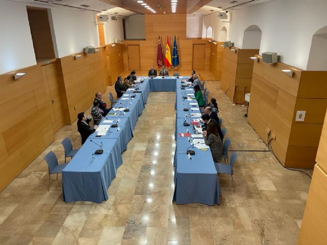 El Consejo de Cooperación Local avala el anteproyecto de Ley de los Bienes de Interés Turístico - 1, Foto 1