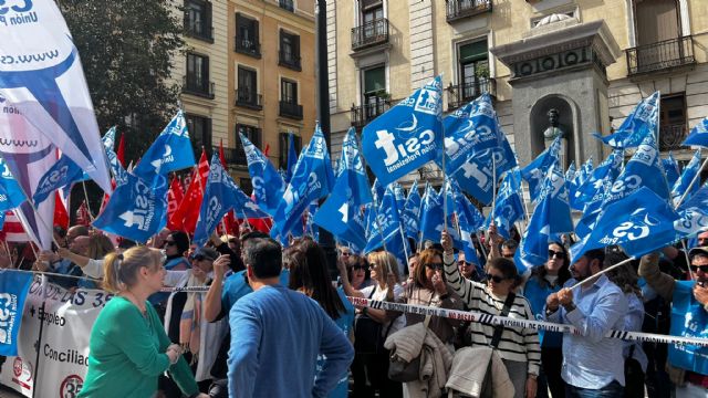 CSIT UNIÓN PROFESIONAL logra movilizar a varios centenares de empleados públicos para defender la recuperación de la jornada de 35 horas y otras reivindicaciones laborales - 2, Foto 2