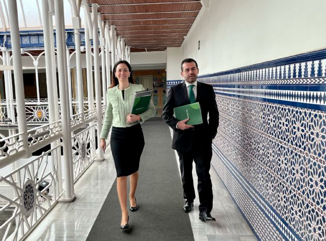 Aprobada por unanimidad la moción de VOX para modernizar la Feria del Mueble de Yecla - 1, Foto 1