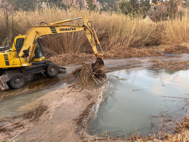 La CHS contin�a las obras de recuperaci�n del bosque de ribera del r�o Segura tras el paso del tren de borrascas de comienzos de a&ntilde;o, Foto 2