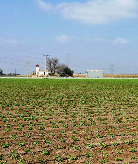 MC solicitará el apoyo del Pleno para respaldar la necesidad expresada por la comunidad agraria de agilizar la adecuación de los salmueroductos inutilizados - 2, Foto 2