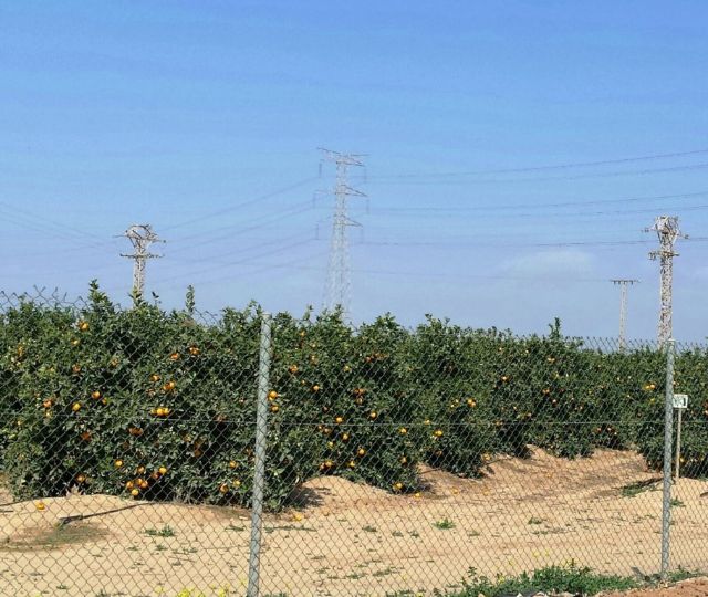 MC solicitará el apoyo del Pleno para respaldar la necesidad expresada por la comunidad agraria de agilizar la adecuación de los salmueroductos inutilizados - 3, Foto 3