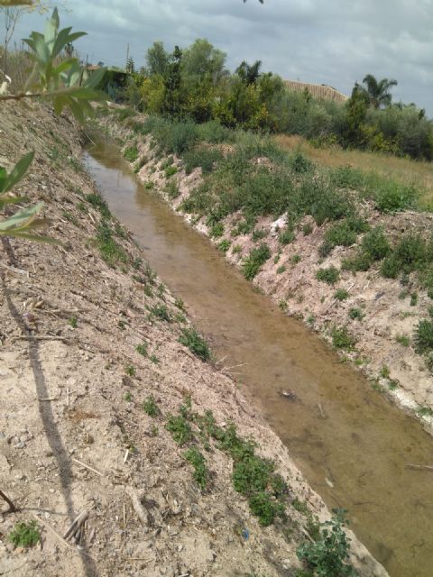 Cambiemos Murcia denuncia las filtraciones de aguas residuales de una fábrica al azarbe de Sierpes - 1, Foto 1