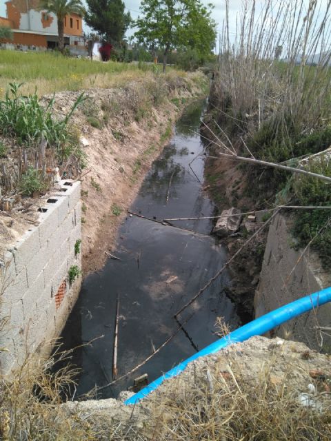Cambiemos Murcia denuncia las filtraciones de aguas residuales de una fábrica al azarbe de Sierpes - 2, Foto 2
