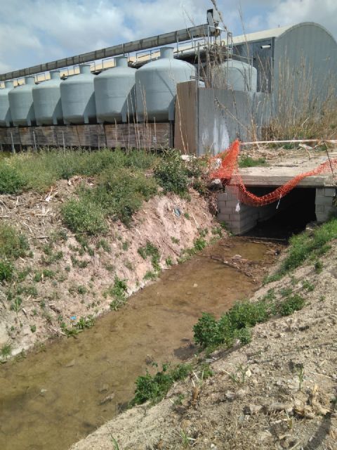Cambiemos Murcia denuncia las filtraciones de aguas residuales de una fábrica al azarbe de Sierpes - 3, Foto 3