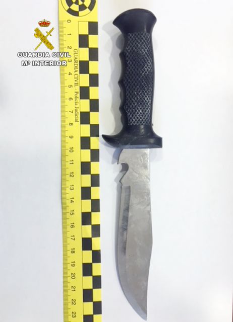 La Guardia Civil detiene a un escurridizo delincuente que supuestamente indujo a una menor a abandonar su domicilio - 1, Foto 1