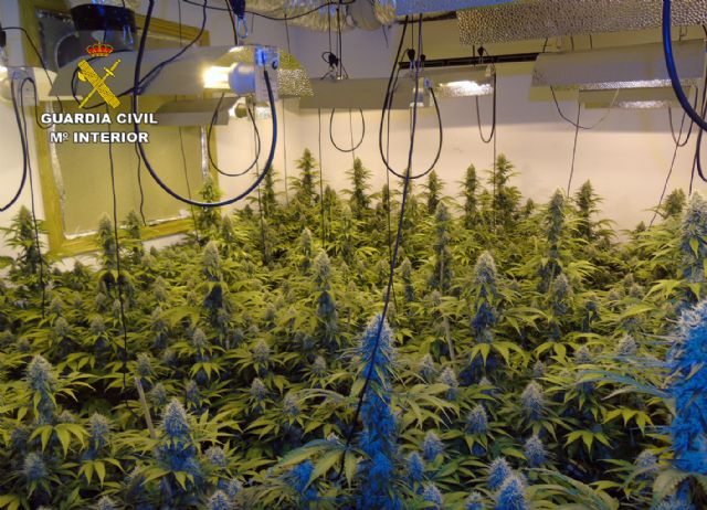 La Guardia Civil desmantela un invernadero de marihuana en una casa de campo - 1, Foto 1