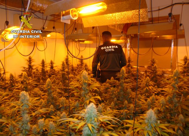 La Guardia Civil desmantela un invernadero de marihuana en una casa de campo - 2, Foto 2