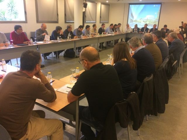 La Comunidad expone al Comit de Asesoramiento Cientfico el nuevo proyecto de humedal artificial de la rambla de El Albujn, Foto 1
