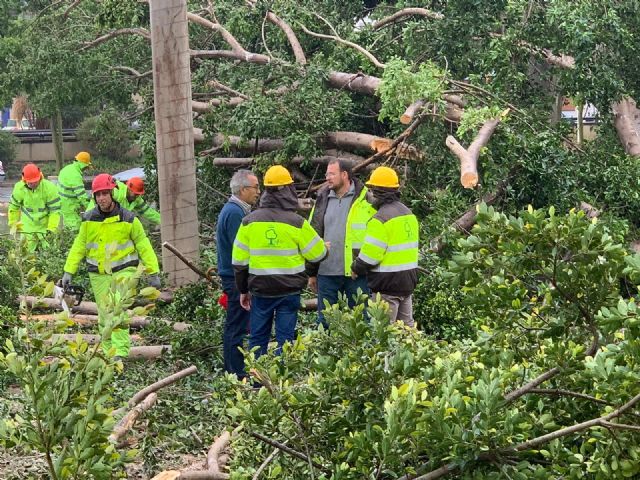El 80% de las incidencias producidas por las intensas lluvias en zonas verdes ya están resueltas - 2, Foto 2
