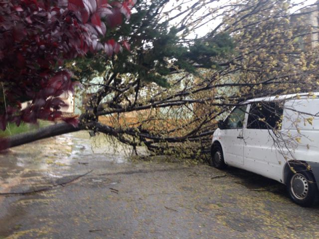 El temporal de viento en Jumilla deja multitud de daños materiales pero no personales - 3, Foto 3
