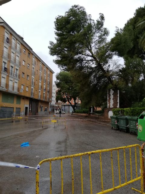 El temporal de viento en Jumilla deja multitud de daños materiales pero no personales - 4, Foto 4