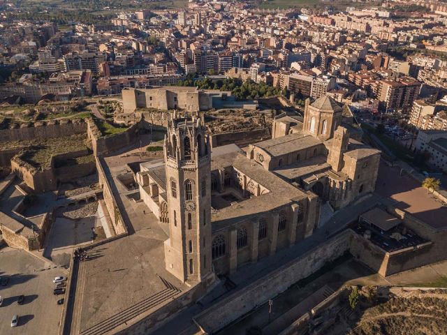 Lleida ya tiene su nueva oficina de transcoma global logistics - 1, Foto 1