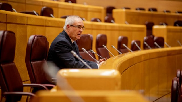 Marín, a Darias: «La izquierda dijo que el Covid era una gripe y que las fronteras debían estar abiertas con China e Italia» - 1, Foto 1