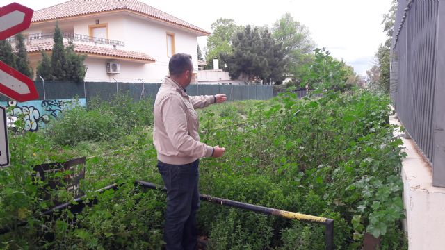 El PP reclama la limpieza inmediata del trazado urbano de las vías del ferrocarril ante la aparición de plagas de mosquitos y la proliferación de matorrales - 1, Foto 1