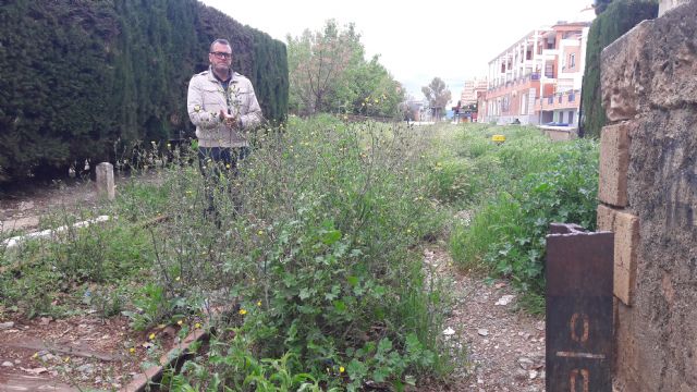 El PP reclama la limpieza inmediata del trazado urbano de las vías del ferrocarril ante la aparición de plagas de mosquitos y la proliferación de matorrales - 2, Foto 2