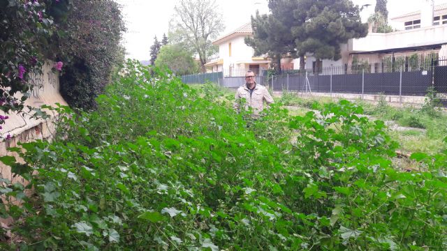El PP reclama la limpieza inmediata del trazado urbano de las vías del ferrocarril ante la aparición de plagas de mosquitos y la proliferación de matorrales - 3, Foto 3