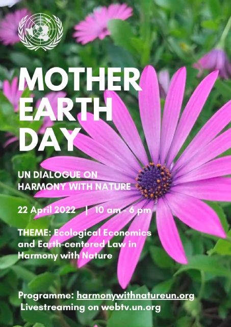 Los profesores de la UMU, Teresa Vicente y Eduardo Salazar, llevan la ILP del Mar Menor a Naciones Unidas - 1, Foto 1