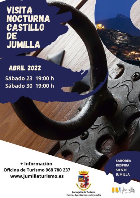 El Castillo, el Casco Antiguo y Coimbra, destinos de las visitas guiadas hasta final de mayo - 1, Foto 1